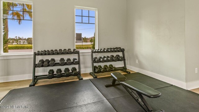 exercise area with hardwood / wood-style flooring and plenty of natural light