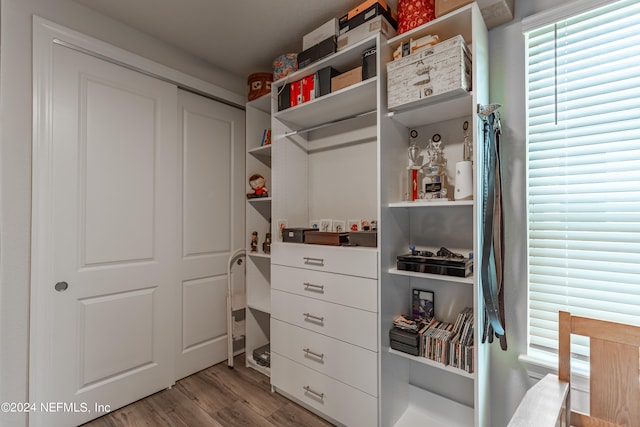 walk in closet with light hardwood / wood-style floors