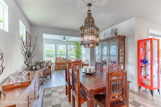 dining area featuring a textured ceiling, ceiling fan with notable chandelier, and light hardwood / wood-style floors