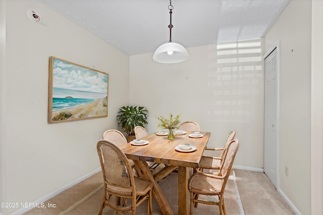 dining space with light colored carpet