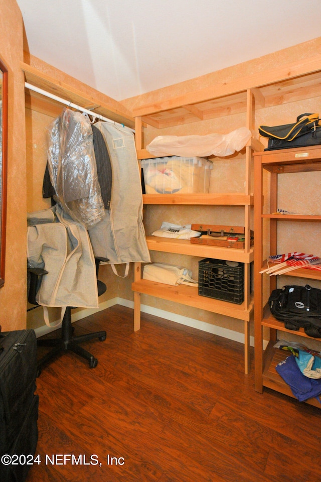 spacious closet featuring dark hardwood / wood-style flooring