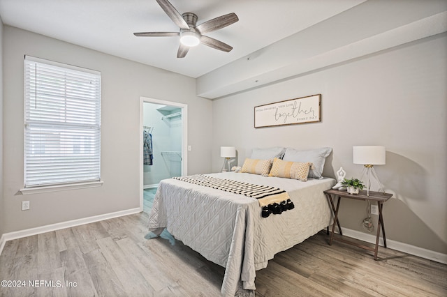 bedroom featuring ceiling fan, a walk in closet, light hardwood / wood-style flooring, and a closet