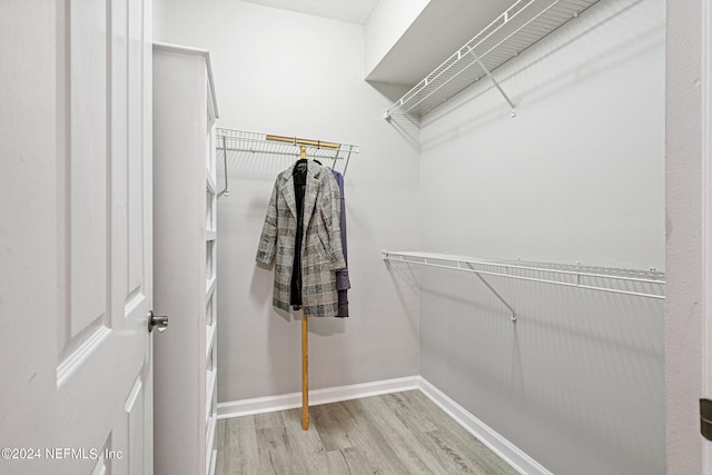 walk in closet featuring light wood-type flooring