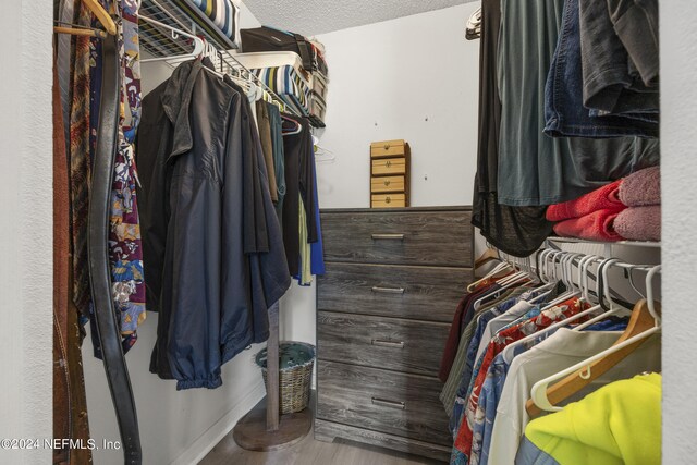 walk in closet featuring hardwood / wood-style flooring