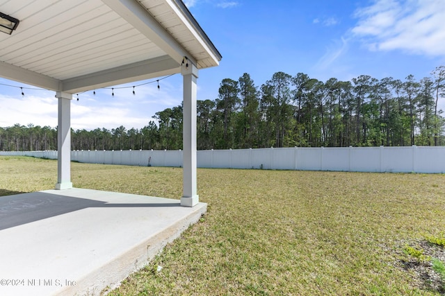 view of yard featuring a patio area