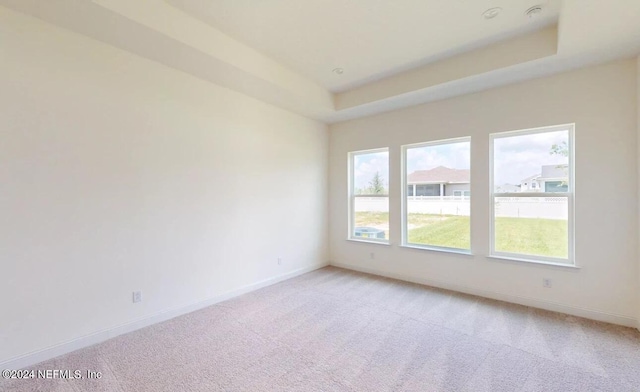 empty room featuring a raised ceiling and light carpet