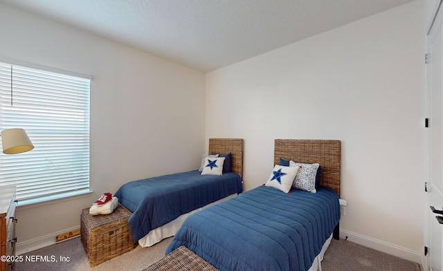 bedroom featuring carpet floors and multiple windows