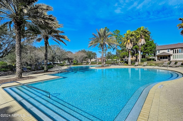 view of swimming pool