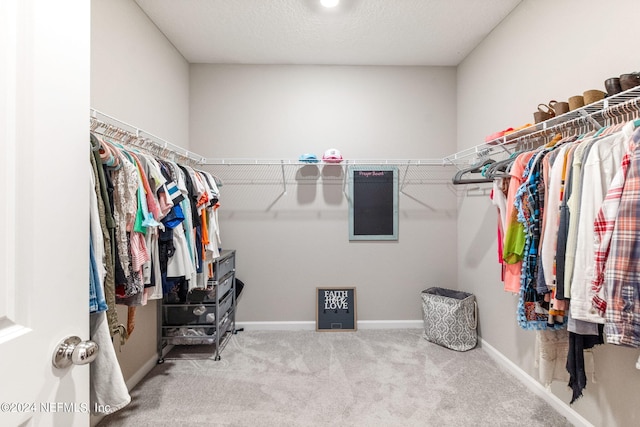 walk in closet featuring carpet floors