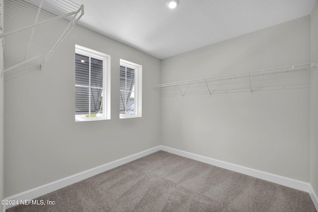 spacious closet featuring carpet