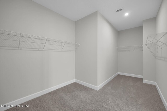 walk in closet with carpet flooring