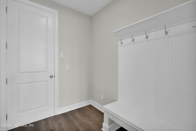 mudroom featuring dark hardwood / wood-style flooring