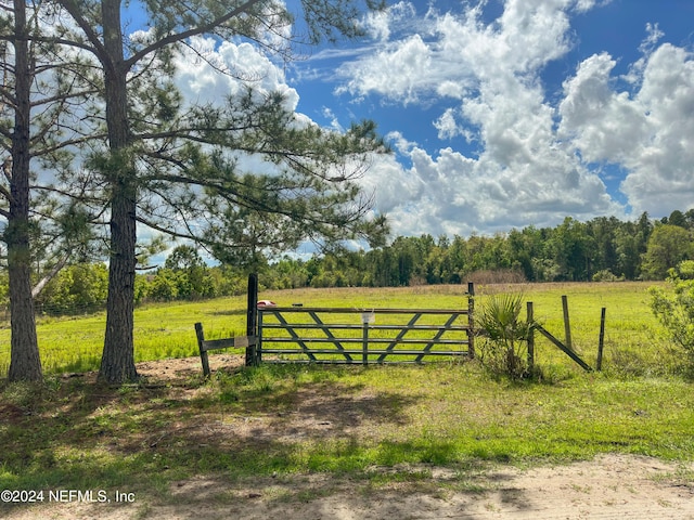 Listing photo 3 for 121 Baobab Trl, Interlachen FL 32148