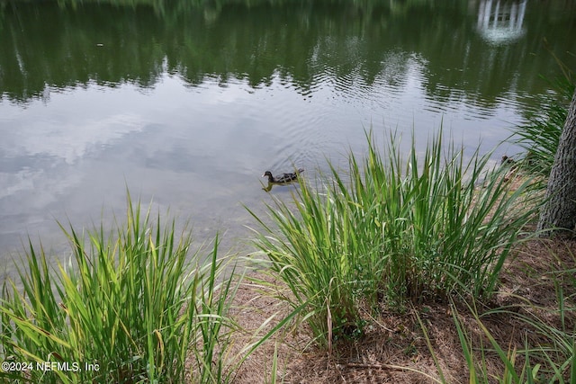 view of water feature