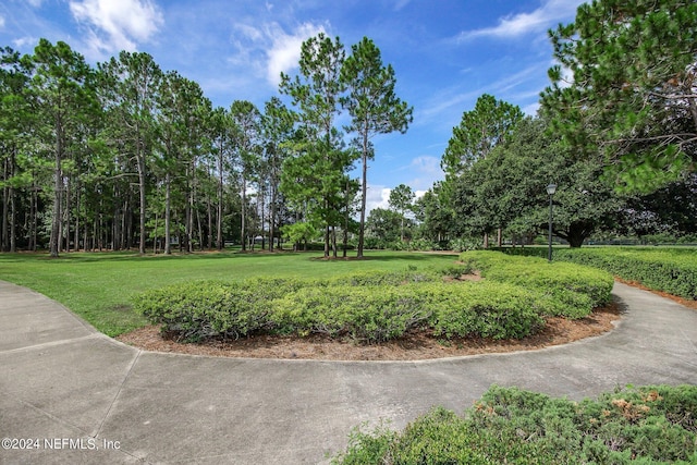 view of home's community featuring a lawn