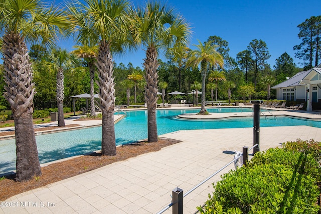 view of pool with a patio