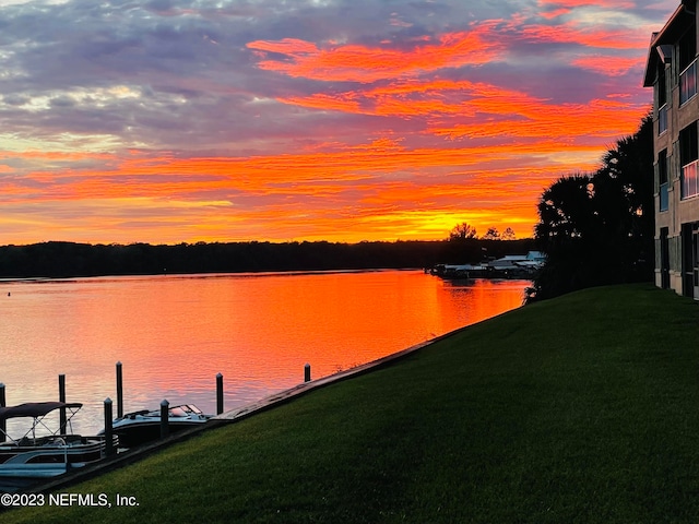 property view of water featuring a boat dock