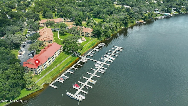 drone / aerial view with a water view