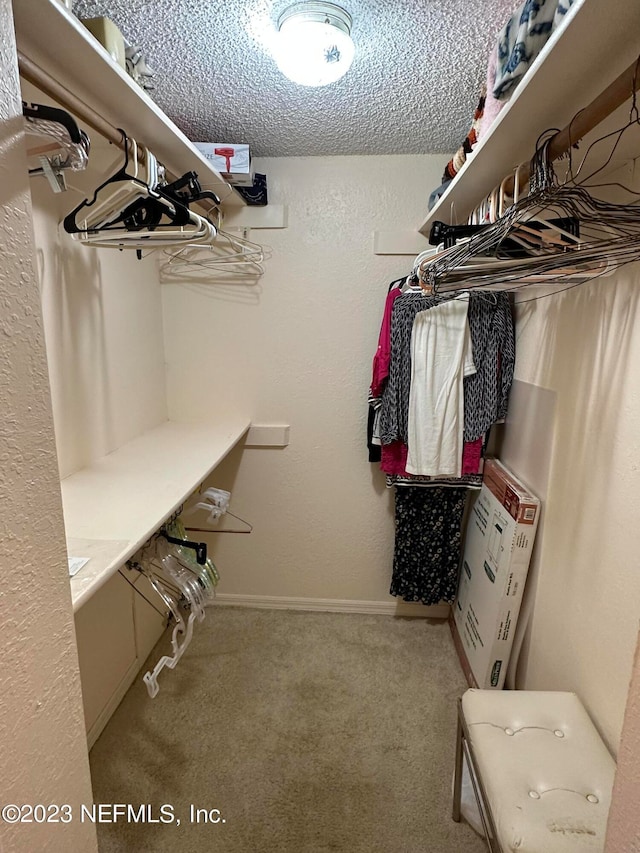 walk in closet featuring carpet floors