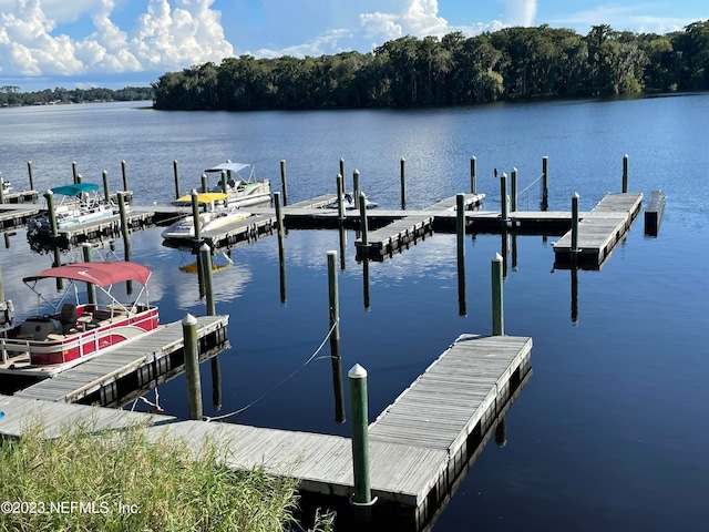 view of dock featuring a water view