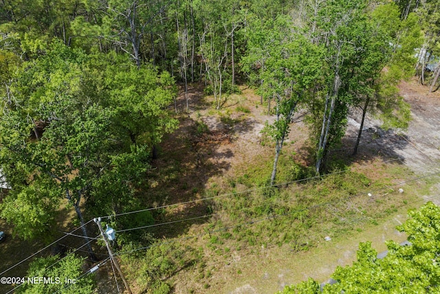 aerial view with a view of trees