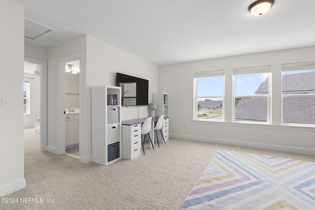 office area featuring carpet floors, attic access, a textured ceiling, and baseboards