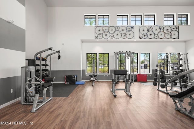 exercise room with wood finished floors, a towering ceiling, and baseboards