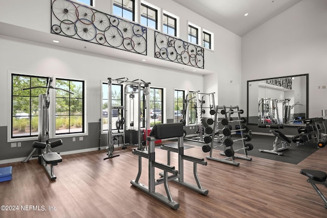 exercise room featuring recessed lighting, a healthy amount of sunlight, baseboards, and wood finished floors