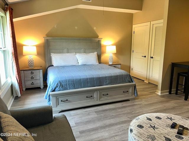 bedroom with a closet and wood-type flooring