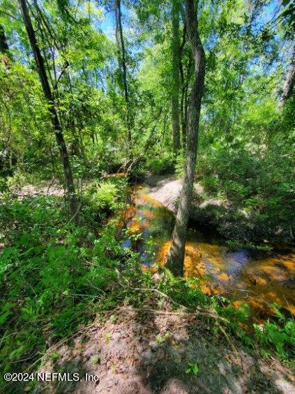 view of local wilderness