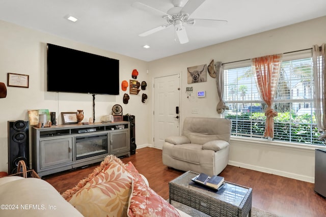 living room featuring ceiling fan and dark hardwood / wood-style floors