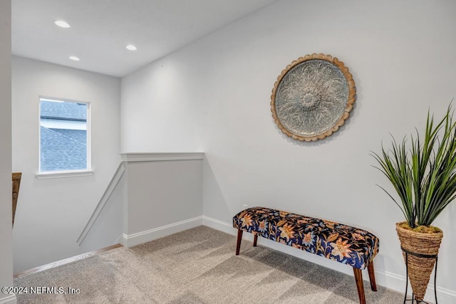 interior space with carpet floors