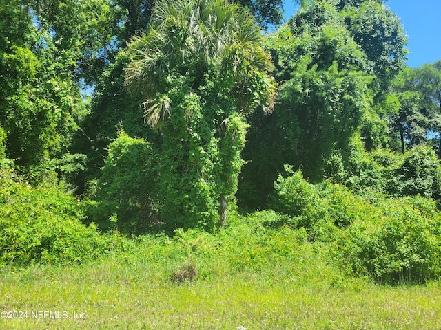 158 Whispering Pines Rd, Georgetown FL, 32139 land for sale