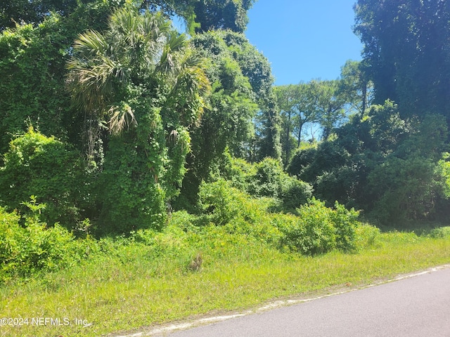 158 Whispering Pines Rd, Georgetown FL, 32139 land for sale