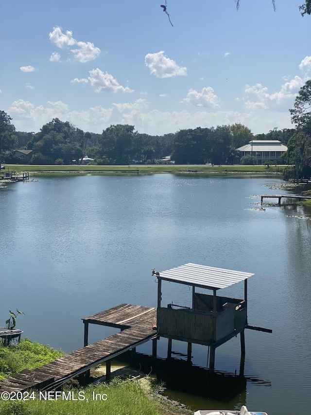 dock area with a water view