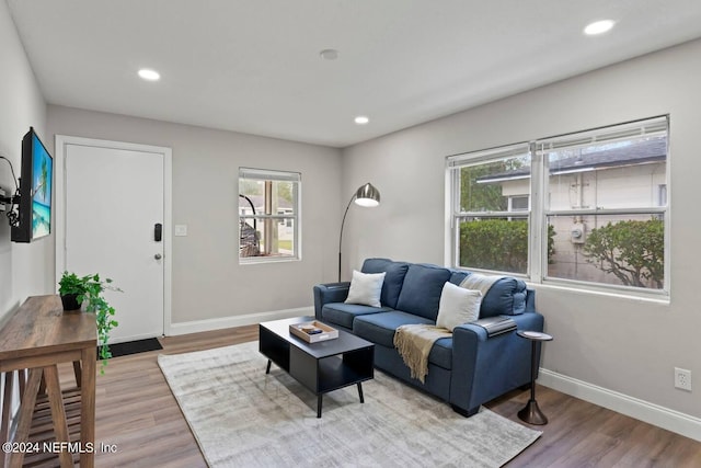 living room featuring light hardwood / wood-style floors