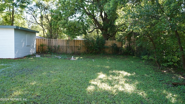 view of yard with a storage shed