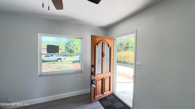 foyer entrance featuring ceiling fan, a wealth of natural light, dark hardwood / wood-style floors, and a textured ceiling