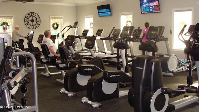 gym with ceiling fan, crown molding, and a healthy amount of sunlight