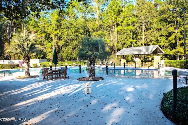 view of pool with a patio area