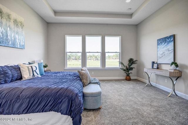 carpeted bedroom featuring a raised ceiling