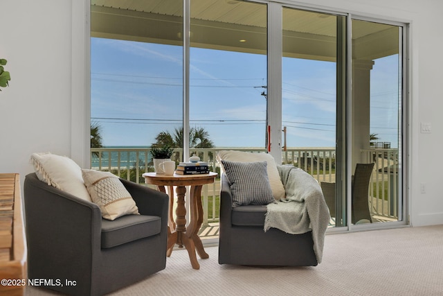 25 Seaside Vista Ct, Saint Augustine, FL 32084 - living area featuring carpet floors and healthy amount of natural light