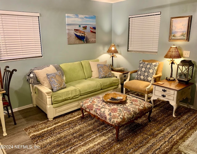 living room with wood-type flooring