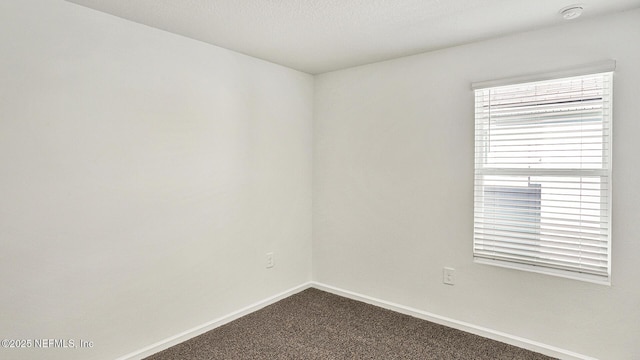 unfurnished room with carpet flooring