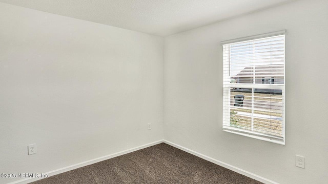 spare room featuring carpet