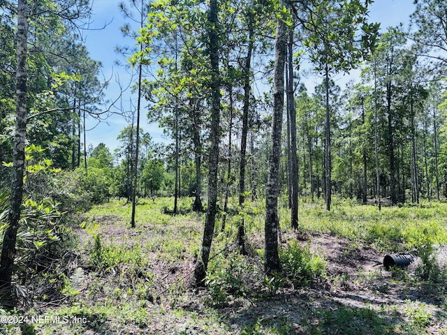 147 E Alachua St, Palatka FL, 32177 land for sale