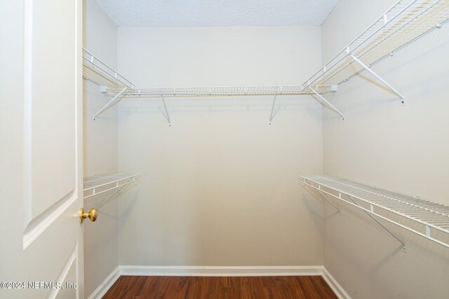 spacious closet featuring hardwood / wood-style flooring