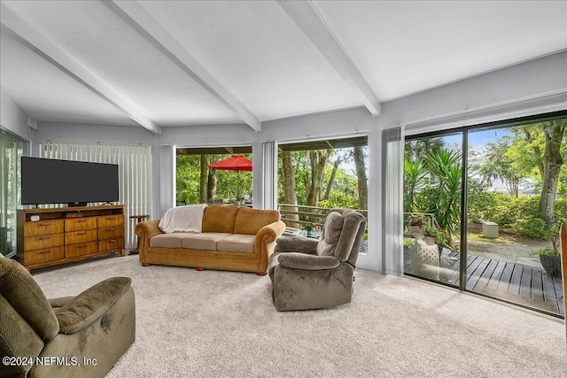 carpeted living room with plenty of natural light and beam ceiling