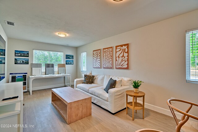 living room featuring light hardwood / wood-style floors