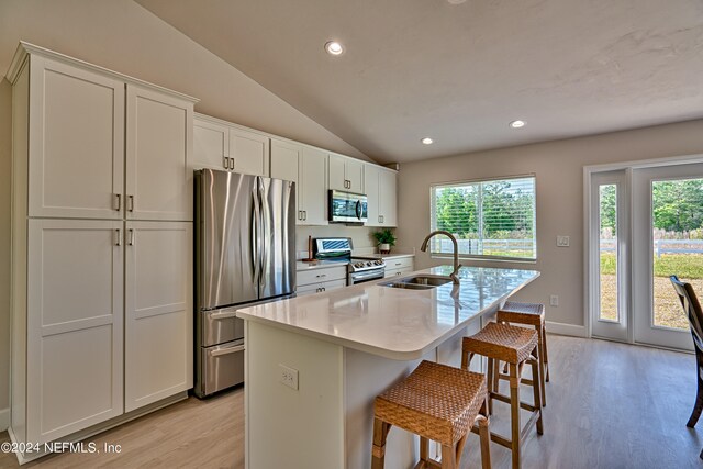 kitchen featuring plenty of natural light, appliances with stainless steel finishes, light hardwood / wood-style flooring, and sink